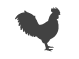 LU GALLO